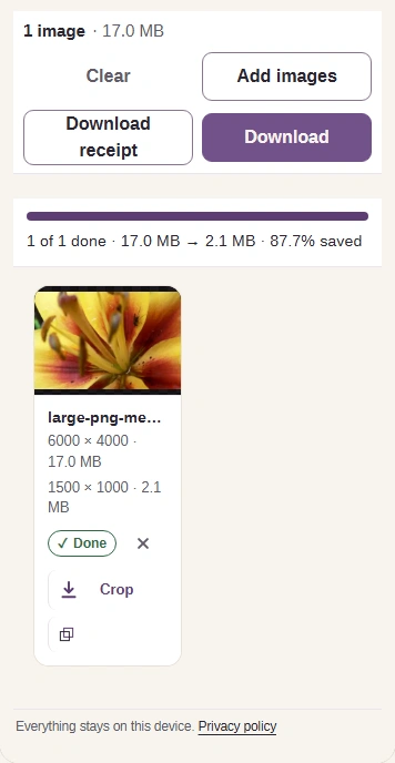 Completed flower PNG with source and output dimensions, file sizes and Download.