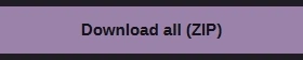 Close crop of the Download all (ZIP) button label.
