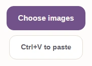 FluffyBench PNG Converter's Choose images button.