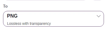PNG is selected in the To format control.