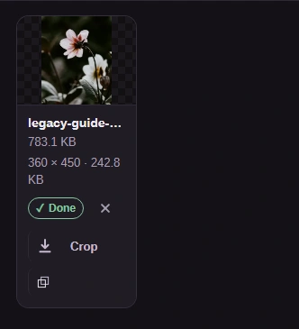 Completed PNG flower preview and the output dimensions and size.