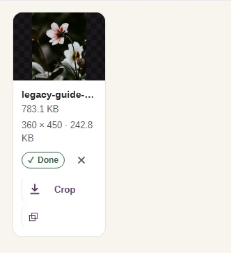 Completed PNG flower preview and the output dimensions and size.