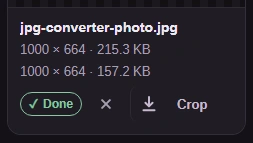 Completed AVIF photo with source dimensions and size above the converted dimensions and size.
