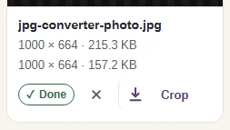 Completed AVIF photo with source dimensions and size above the converted dimensions and size.