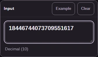 Example has filled Input with the 20-digit decimal number 18446744073709551617.