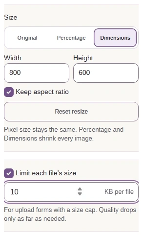 Size set to Dimensions, Width 800, Height 600, Keep aspect ratio checked, and Limit each file’s size enabled at 10 KB per file.