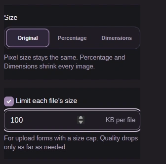 Size set to Original and Limit each file’s size enabled at 100 KB per file.