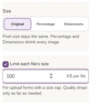 Size set to Original and Limit each file’s size enabled at 100 KB per file.