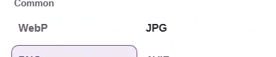 For a JPG copy, add your PSD or PSB as above, then choose JPG in Convert to.