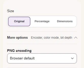 Keep Size at Original to preserve pixel dimensions. Open More options and leave PNG encoding on Browser default.