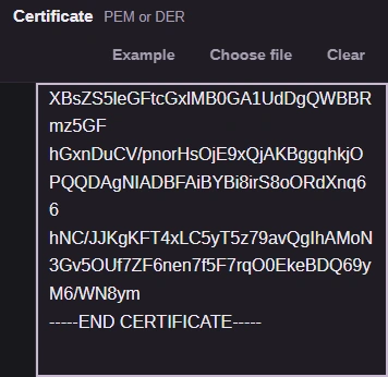 Public sample certificate in the input editor, with Example and Choose file controls.