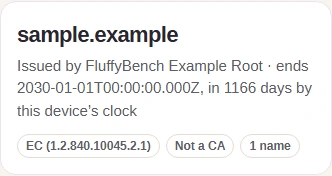Decoded certificate summary names sample.example and FluffyBench Example Root.