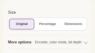 Keep Size at Original, then open More options.