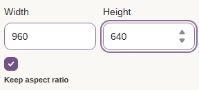 Set the pixel bounds for resizing; 960 × 640 is an example.