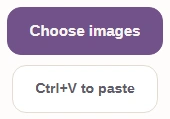 Choose images to add the JPG you need as WebP.