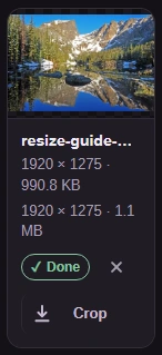 Choose Download to save the WebP copy.