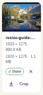 Choose Download to save the WebP copy.