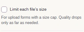 Leave Limit each file’s size unchecked for a format comparison; enabling it adds a size target.