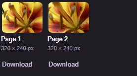 Page 1 and Page 2 from flower-pages.tif, each with a preview, pixel dimensions and Download.