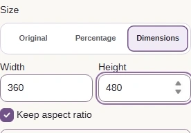 Size → Dimensions sets a pixel box; Keep aspect ratio fits the drawing inside it. Original keeps the SVG’s dimensions; Percentage scales them.
