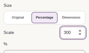 Alternative size setting: Percentage with Scale 300 percent.