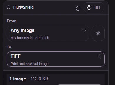 Leave To on TIFF, then open the gear button for TIFF settings.