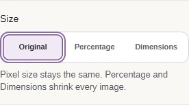 Match the TIFF choices shown above. Leave Size on Original for an unchanged pixel size.