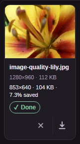 Check the finished dimensions, size and preview before adding more files. Download saves the copy; keep your original for later edits.
