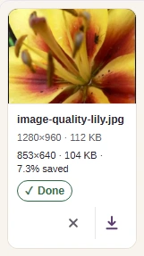 Check the finished dimensions, size and preview before adding more files. Download saves the copy; keep your original for later edits.
