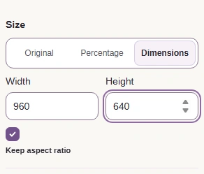 Use Original when you need all the pixels. For a smaller whole-frame copy, choose Dimensions; these example bounds are 960 × 640.