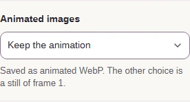 Animated images set to Keep the animation.