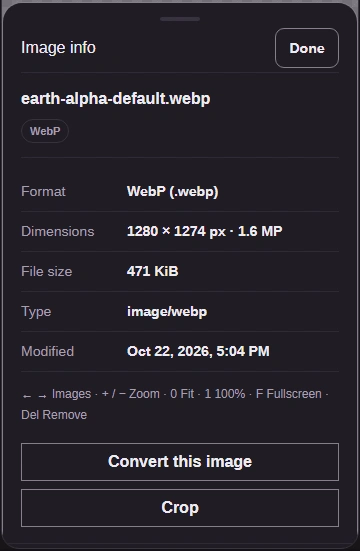 Image info lists the format as WebP and the dimensions.