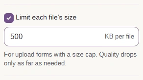 Limit each file's size turned on, with 500 in KB per file.