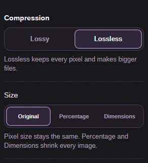 Compression set to Lossless, with no Quality slider or size limit below it.