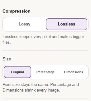 Compression set to Lossless, with no Quality slider or size limit below it.