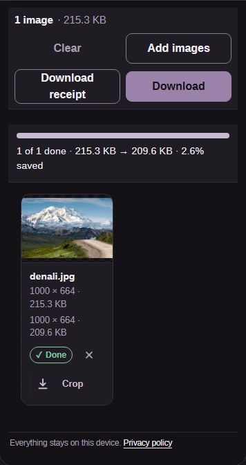 Finished conversion: the size readout shows 215.3 KB before and 209.6 KB after, with the Download button.