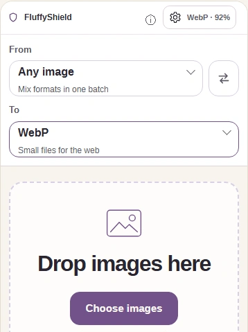 WebP converter intake with Choose images.