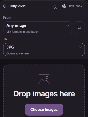 Keep your original. In FluffyBench's JPG converter, choose images; TO is already JPG.