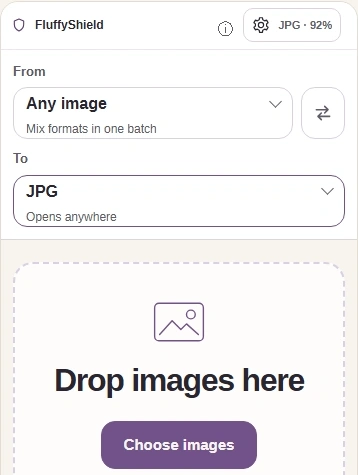 Keep your original. In FluffyBench's JPG converter, choose images; TO is already JPG.