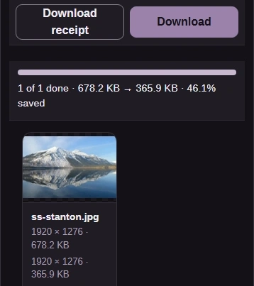 Compare the source and output sizes, then Download the copy.