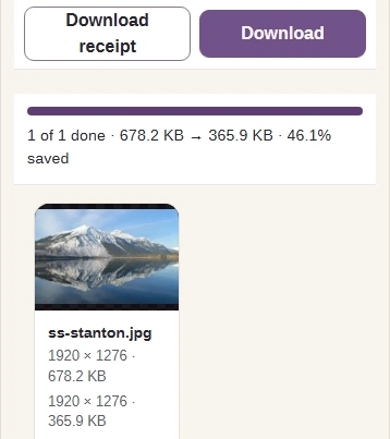 Compare the source and output sizes, then Download the copy.